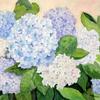 Blue Hydrangea
